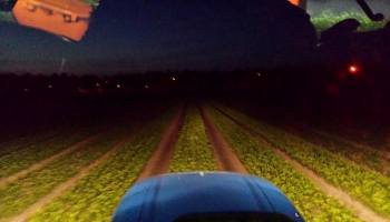 12-6-2017 bij nacht en ontij... ;)