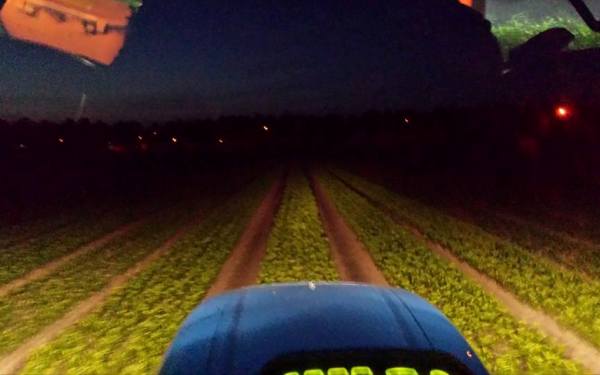 2017 juni 9 nachtbespuiting 600x375