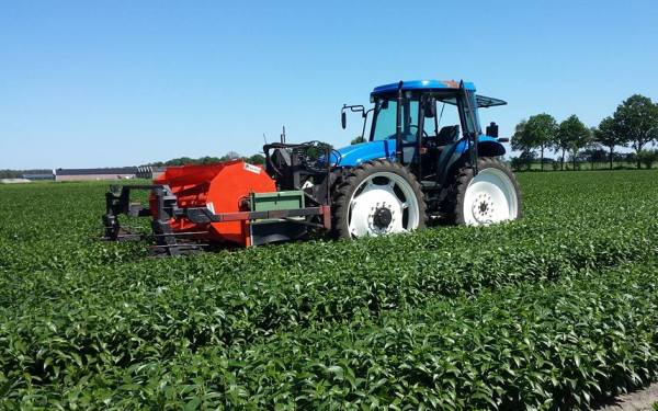 2017 mei 27 kopper1 600x375