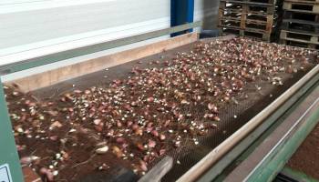 6-6-2017 Laatste schubben geplant