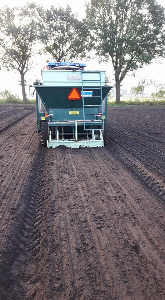 2017 okt 19 planten pioen