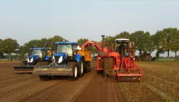 19-10-2017 De lelieoogst is begonnen!