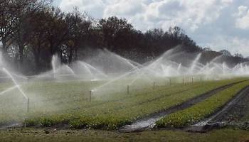 27-4-2017 Nachtvorst...