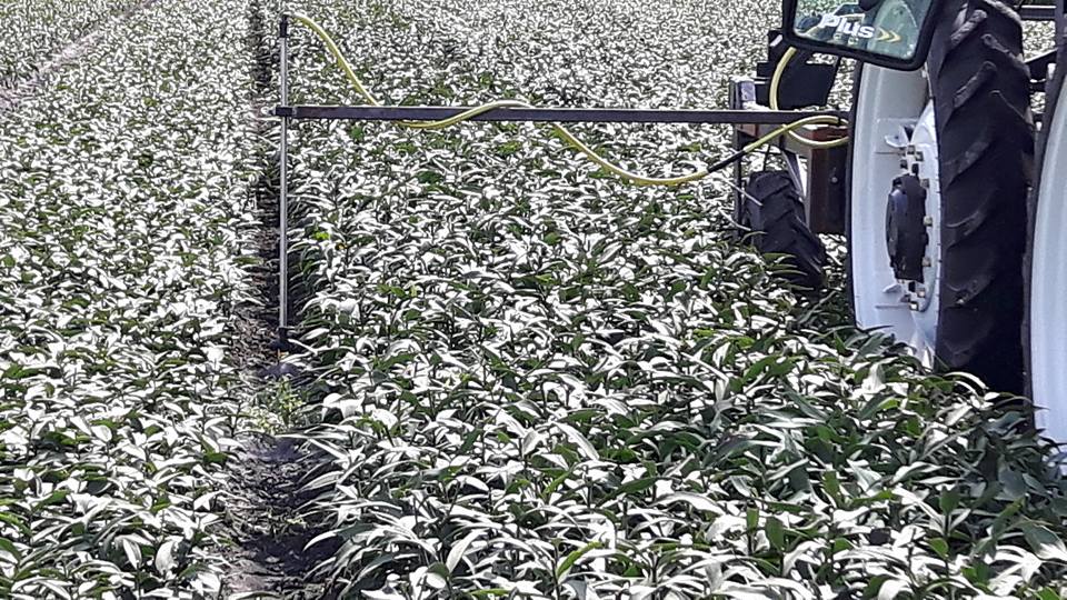 2017 aug 12 paden spuiten 1