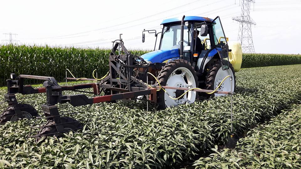 2017 aug 12 paden spuiten 2