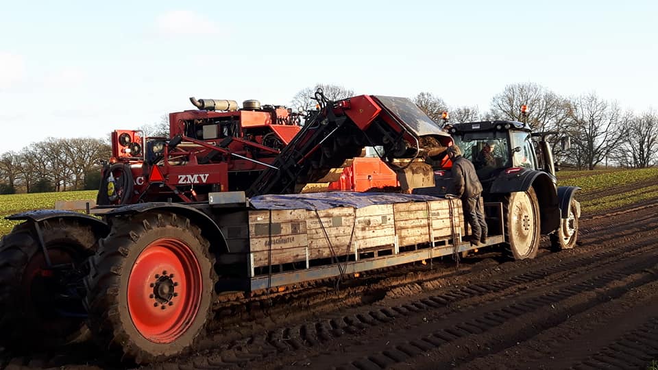 2018 01 16 aardbei rooien markhorst 2