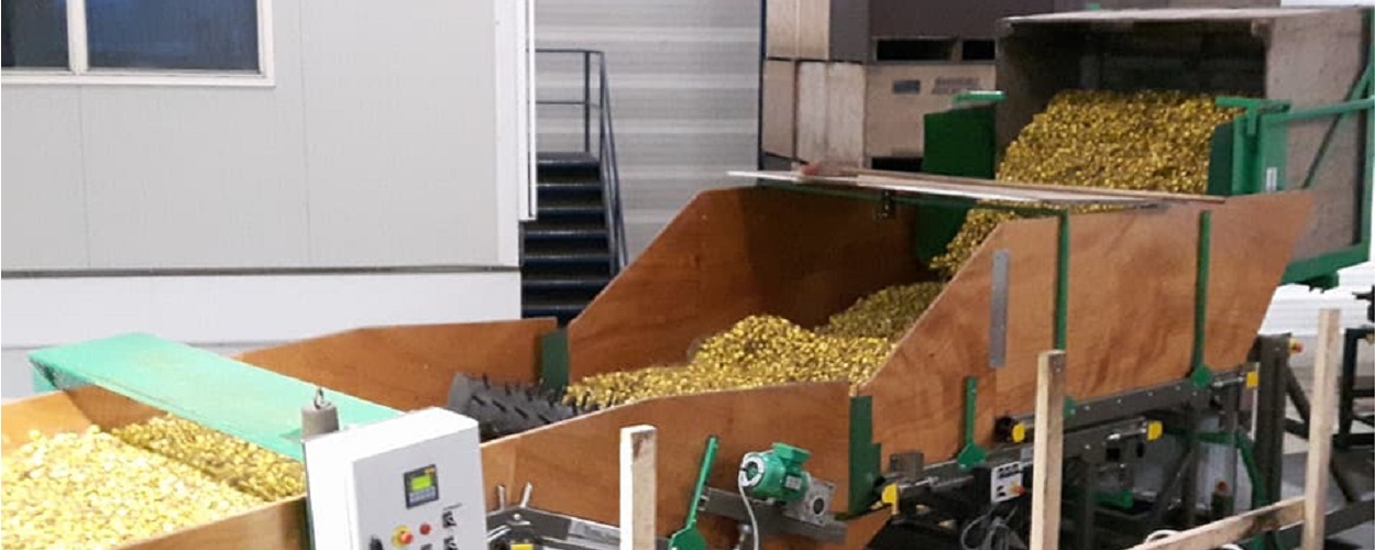 21-2-2018 Plantgoed sorteren