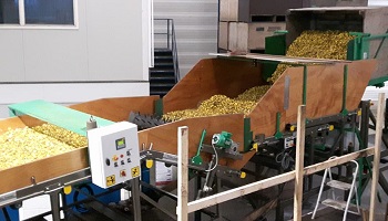 21-2-2018 Plantgoed sorteren