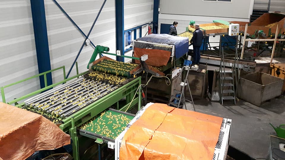 2018 02 12 plantgoed markhorst 2