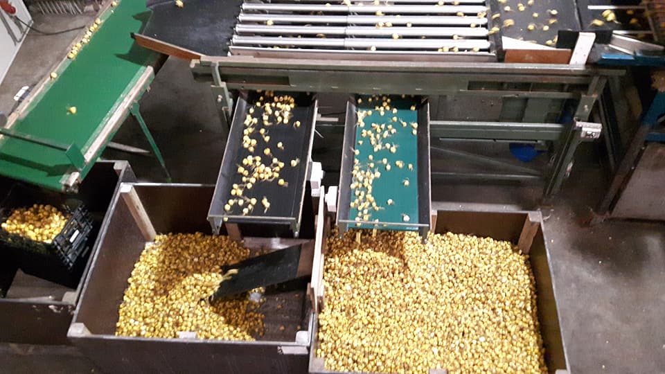 2018 02 12 plantgoed markhorst 3