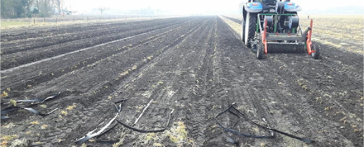 2018 03 07 drip 2 markhorst