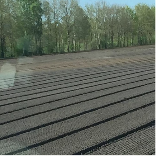 2018 04 21 stuifsdek3 markhorst