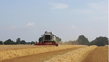 28-6-2018 Wintergerst combinen