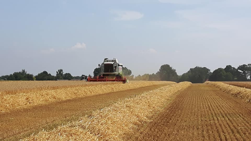 28-6-2018 Wintergerst combinen