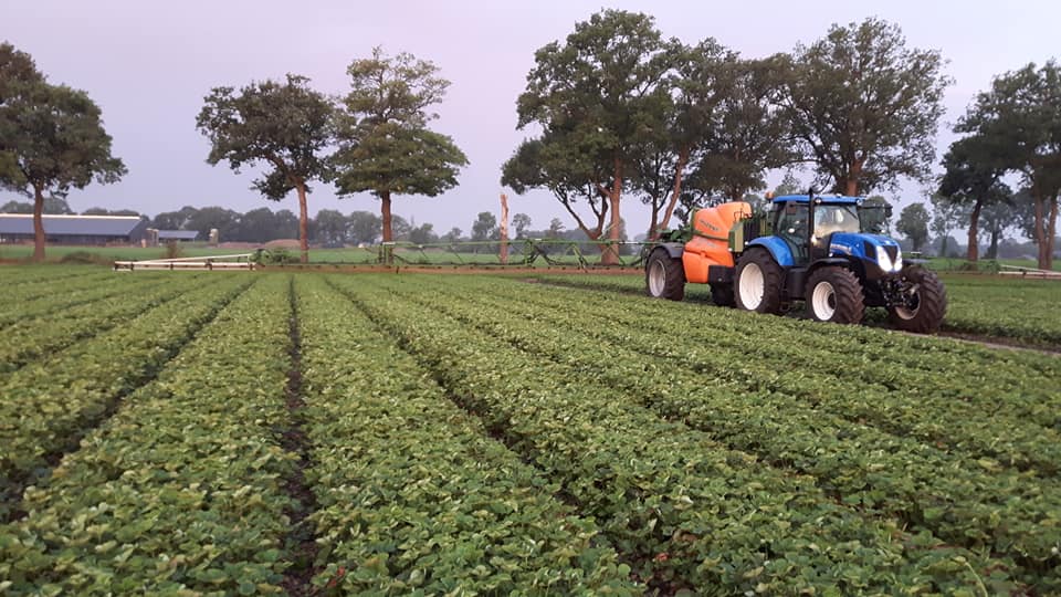 2018 09 06 kunstm. markhorst