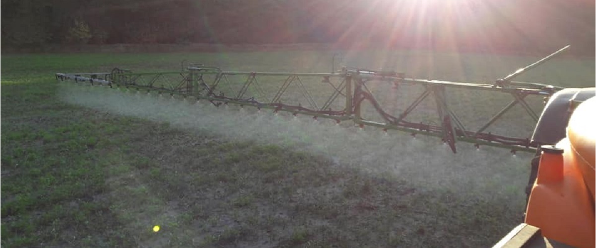 2018 10 11 crehumus markhorst2