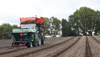 3-11-2018 De laatste pioenen voor dit jaar geplant