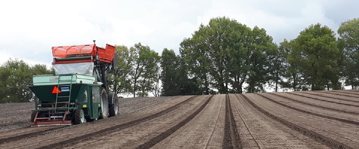 2018 11 03 pioenplanten1 markhorst