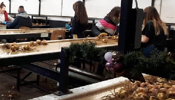 24-12-2018 Bijna kerst...