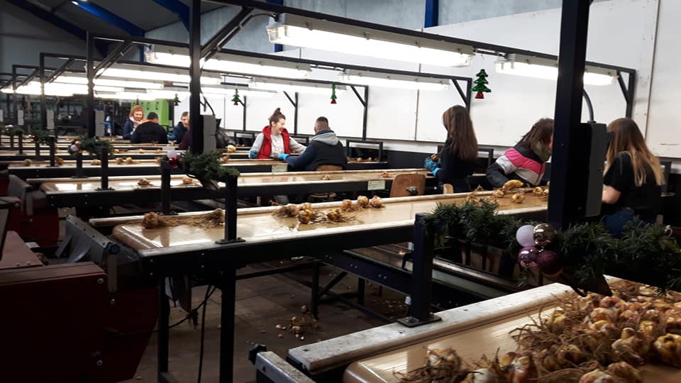 24-12-2018 Bijna kerst...