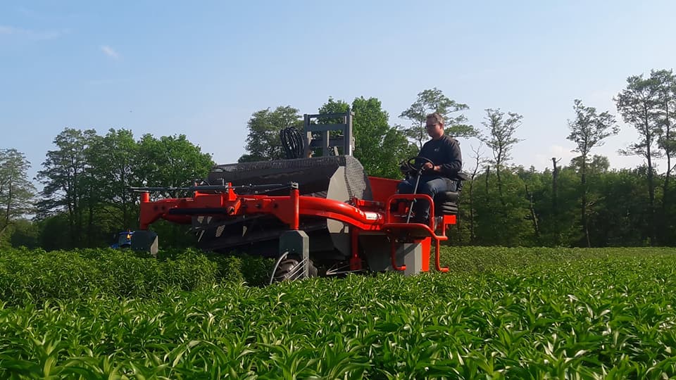 2018 5 13 lelie koppen