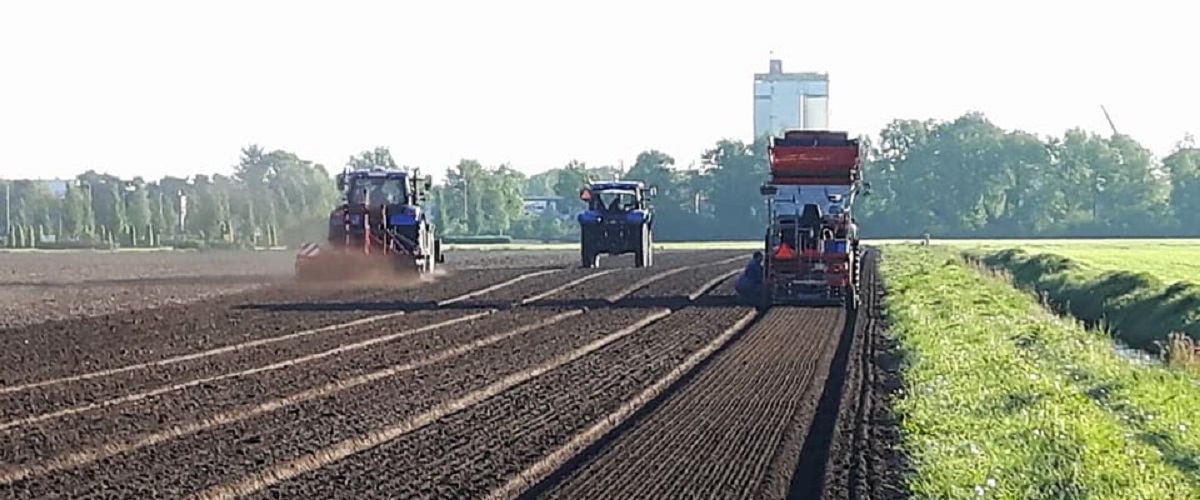 lelieplanten 2018 5 13 slider br