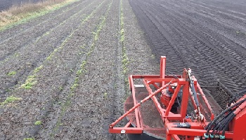 7-1-2019 De laatste loodjes