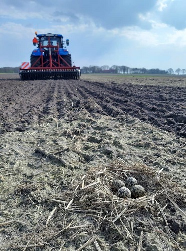 2019 03 30 eitjes markhorst 500x371