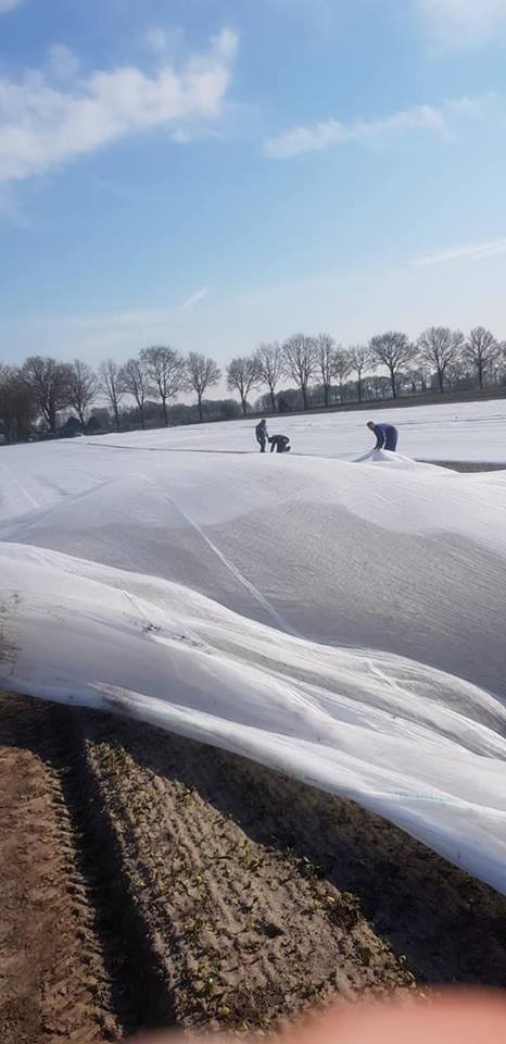 2019 04 10 doek4 markhorst