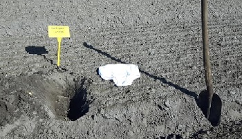 19-4-2019 Soil your undies 2019 NL