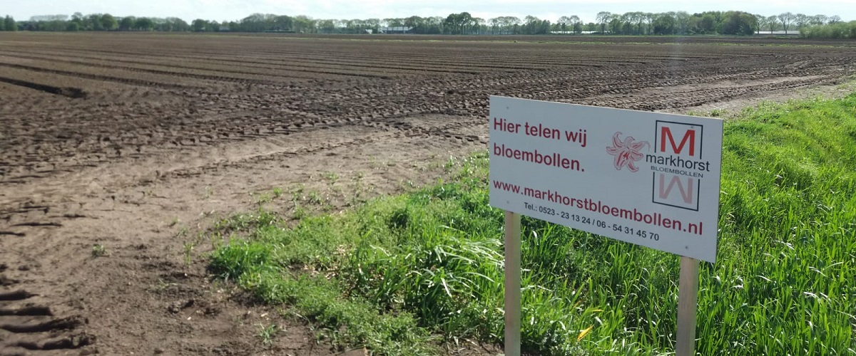 2019 04 25 bord 1200x500 markhorst