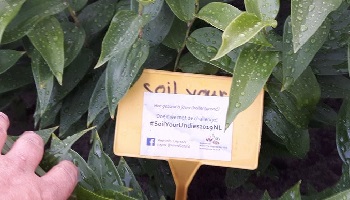 20-6-2019 Even zoeken naar de onderbroek