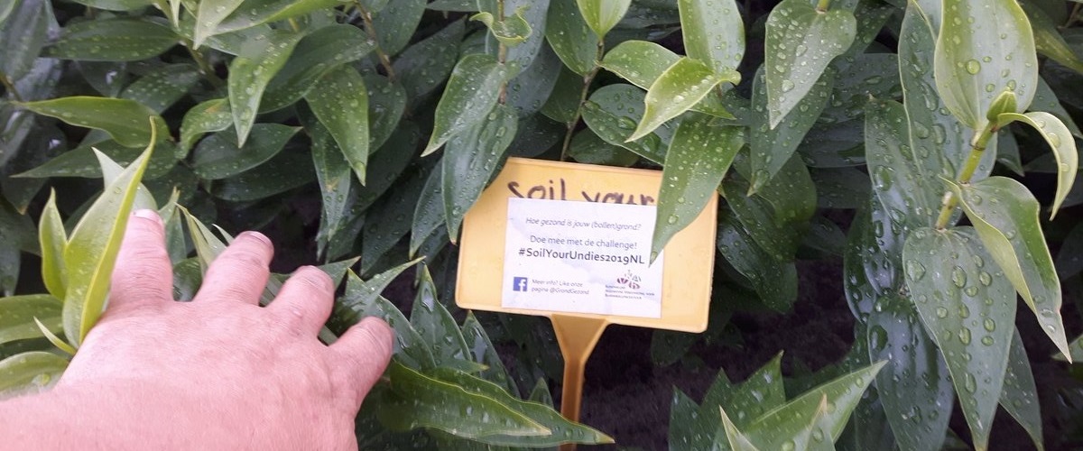 20-6-2019 Even zoeken naar de onderbroek