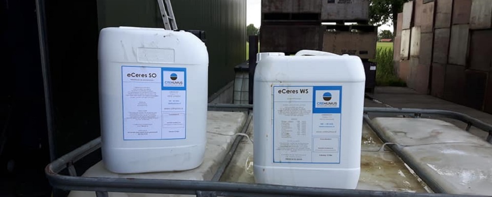 2019 07 17 drip bio 2 markhorst