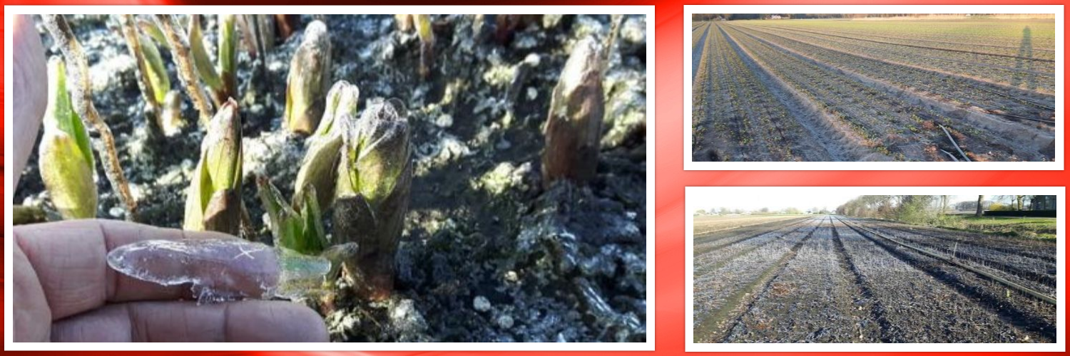 1-4-2019 Nachtvorstschade...