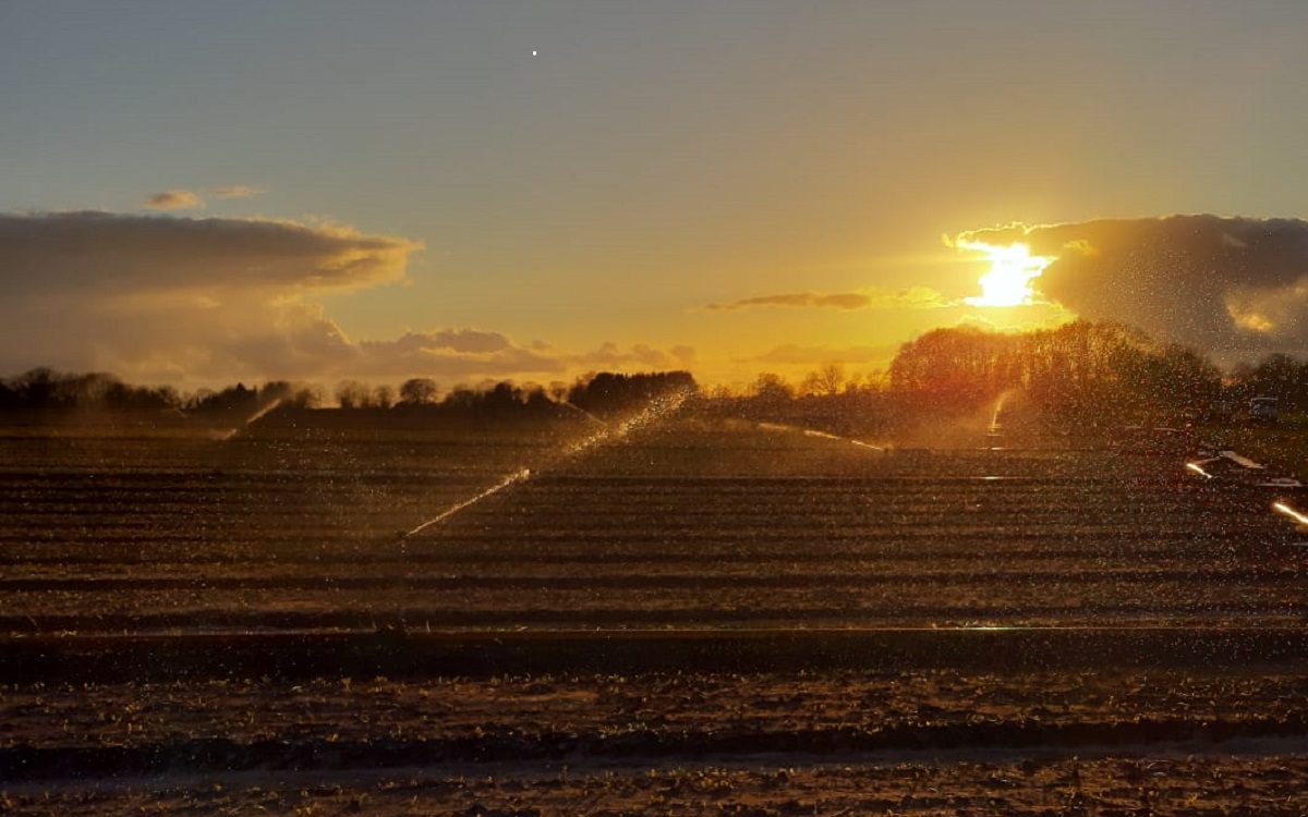 31-3-2020 Brrr... nachtvorst