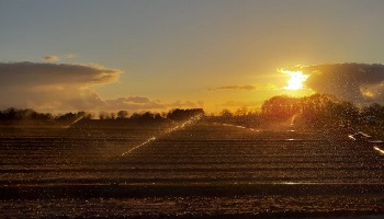 31-3-2020 Brrr... nachtvorst