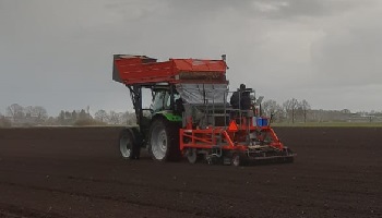 30-3-2020 De eerste leliebollen van 2020 zijn geplant!