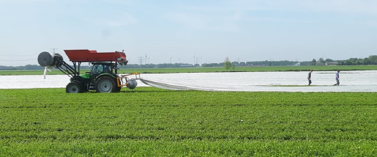 4-5-2020 en het doek gaat er weer af...