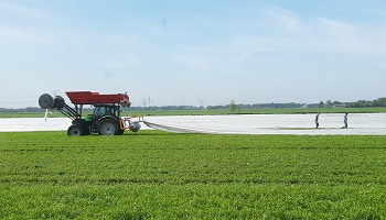 4-5-2020 en het doek gaat er weer af...