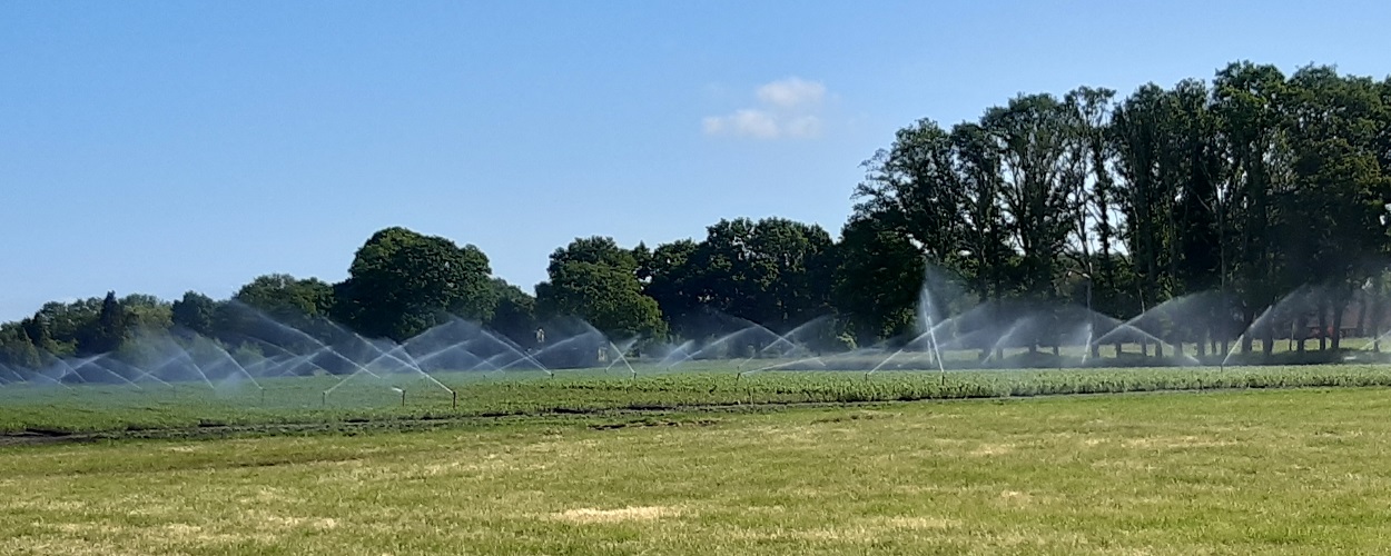 28-5-2020 En de boer, hij pl... beregende voort!