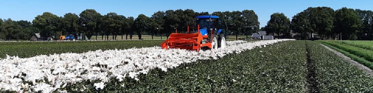 20200806 zambesi koppen 1200x300