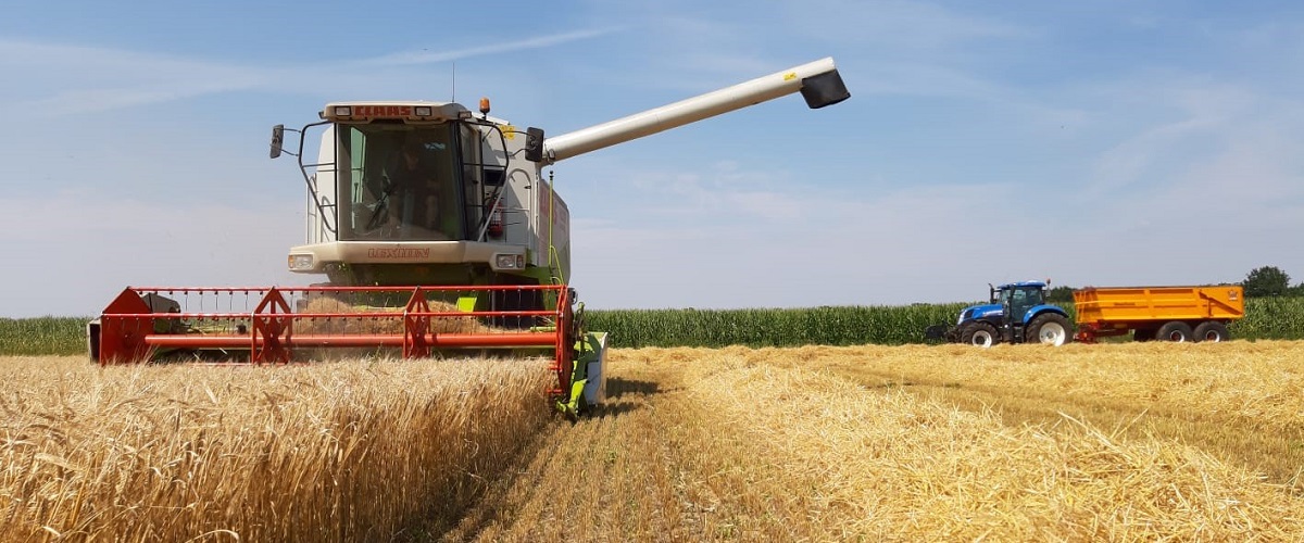 7-8-2020 Gerst combinen