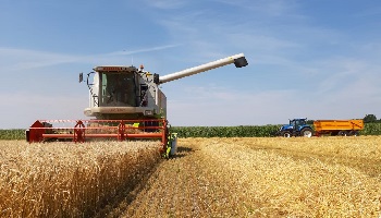 7-8-2020 Gerst combinen