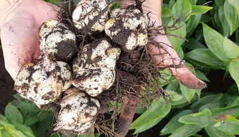 30-9-2020 effe checken!