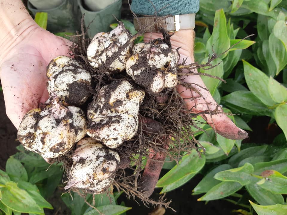 30-9-2020 effe checken!