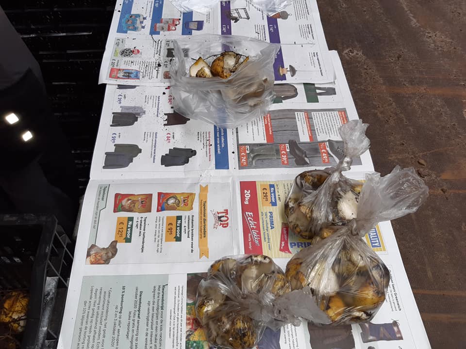 20201008 monsters toetsing