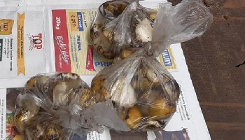 8-10-2020 bemonstering op virus