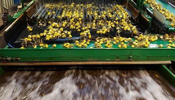 4-11-2020  en... actie!