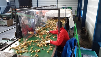 31-1-2021 Nieuwe ronde...